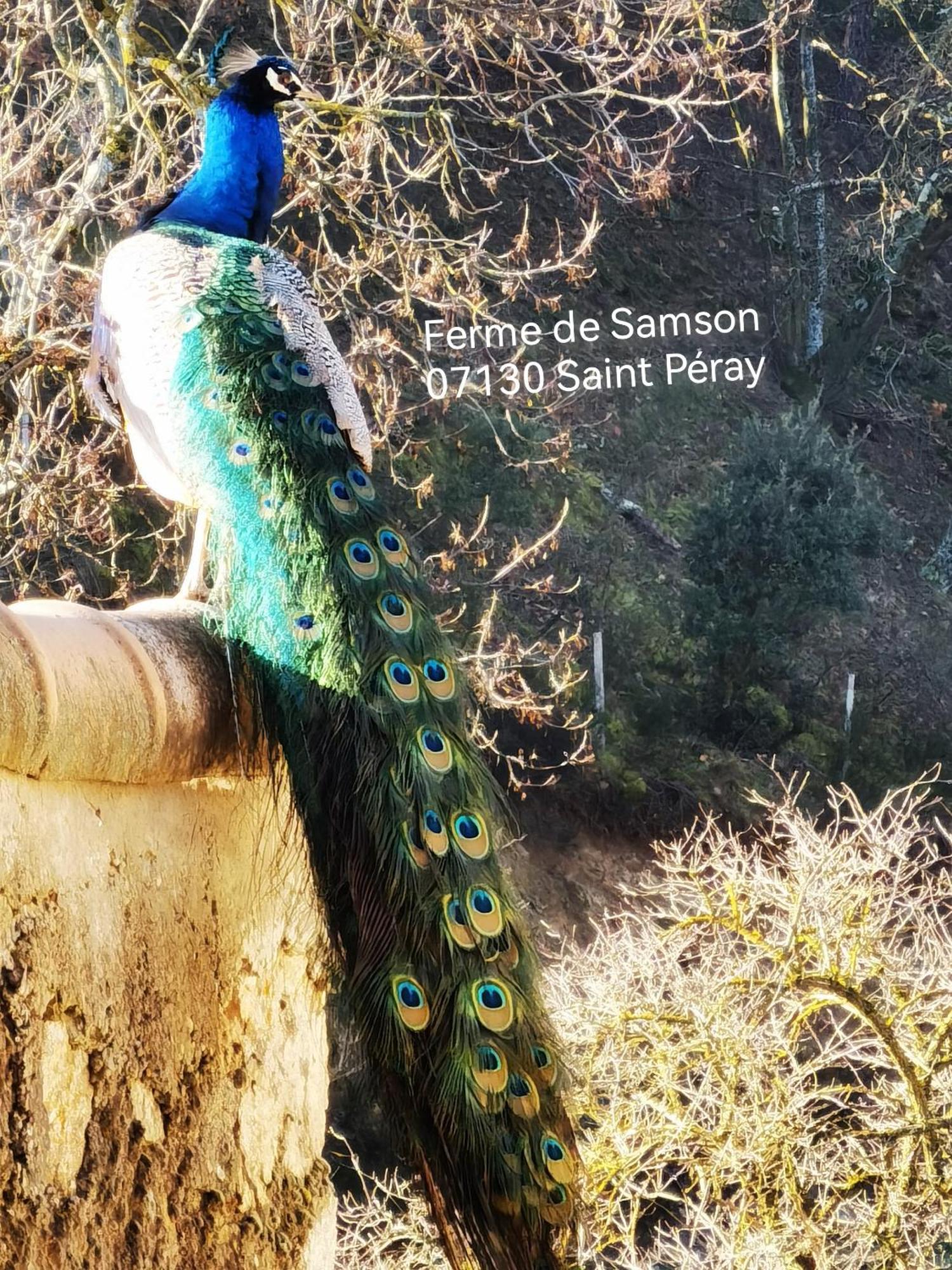 Villa Ferme De Samson Saint-Péray Esterno foto